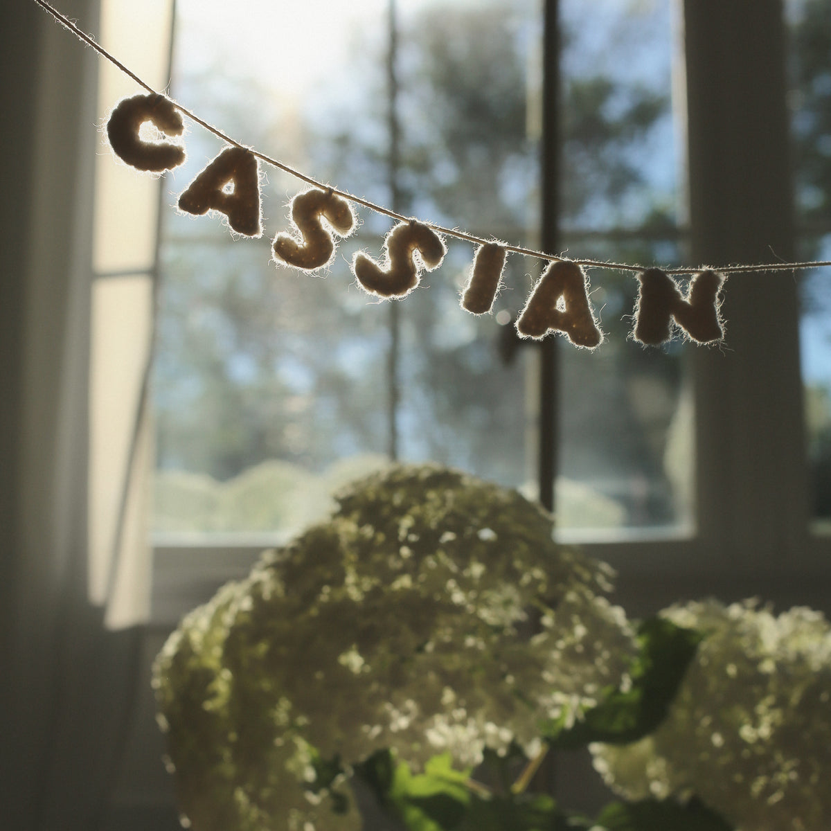 CASSIAN little felt garland in soft window light