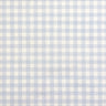 Blue Gingham
