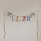 Big Day Parade | Personalized Name Garland