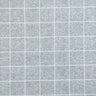 Windowpane