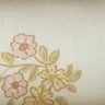 Cream Rose