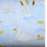 Duck Pond