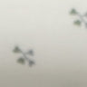 Sage Sprig
